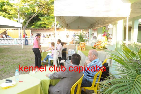 Clique sobre a foto para fechar